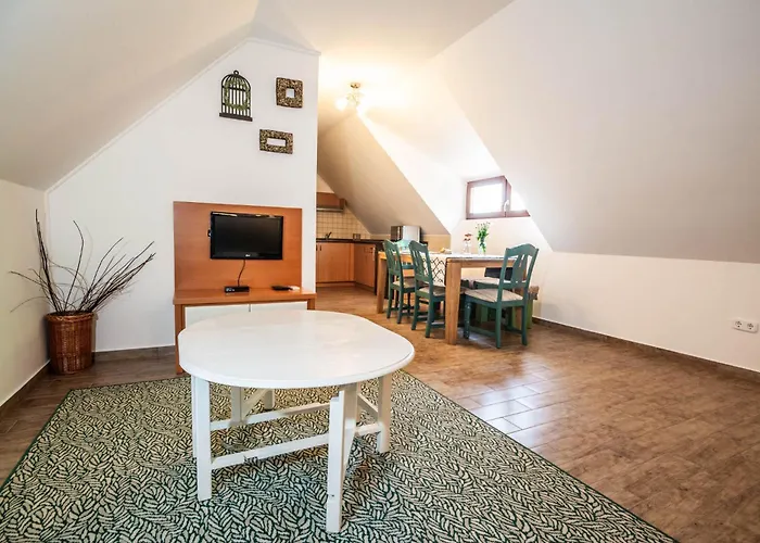 Apartment Oszter-haz *